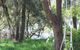 Waters Edge - thumb 5