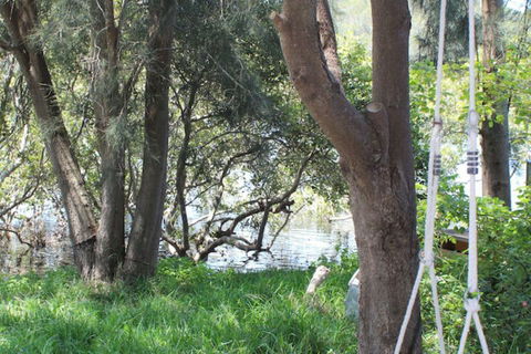 Waters Edge - Accommodation QLD 5