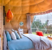 Domescapes in the Vines - Accommodation QLD