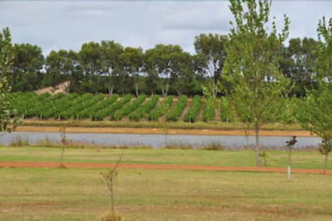 Bettenay Loft Spa Apartment & Lakeview Chalets - Accommodation QLD 5