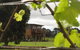Bettenay Loft Spa Apartment & Lakeview Chalets - thumb 0