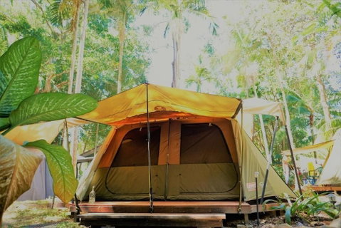 Dougies Backpackers - Accommodation QLD 5
