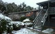 Alps Lodge - thumb 2