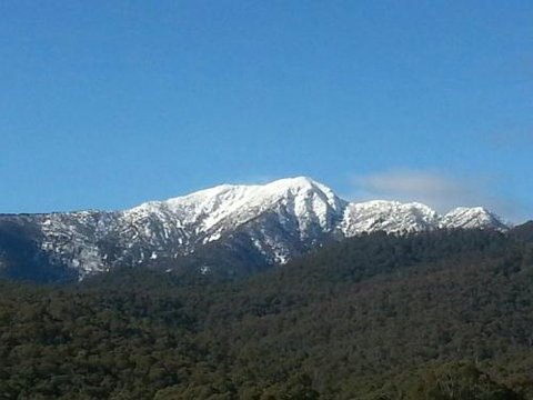 Alps Lodge - Accommodation QLD 4
