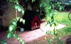 Kurrajong Trails And Cottages - thumb 1