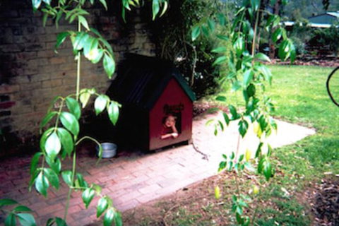 Kurrajong Trails And Cottages - Accommodation QLD 1