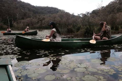 Kurrajong Trails And Cottages - Accommodation QLD 3