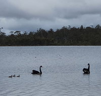 Lake Yalleena Nature Retreat - Accommodation QLD