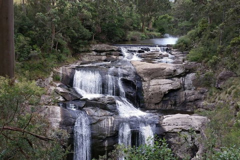 Toora Lodge Motel - Accommodation QLD 2