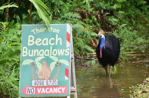 Thornton Beach Bungalows - Accommodation QLD 5