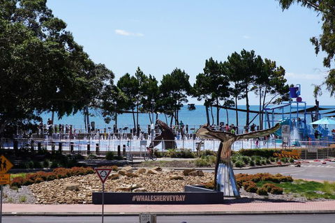 Beachside Motor Inn - Accommodation QLD 3