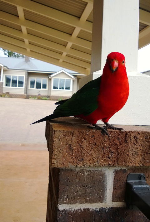 Marysville Garden Cottages - Accommodation QLD 3