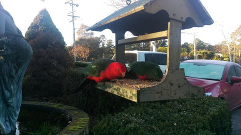 Grand Country Lodge Motel - Accommodation QLD 3