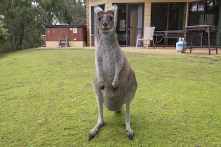 Metricup WA Accommodation QLD