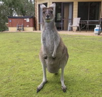 Yelverton Brook Conservation Sanctuary - Accommodation QLD