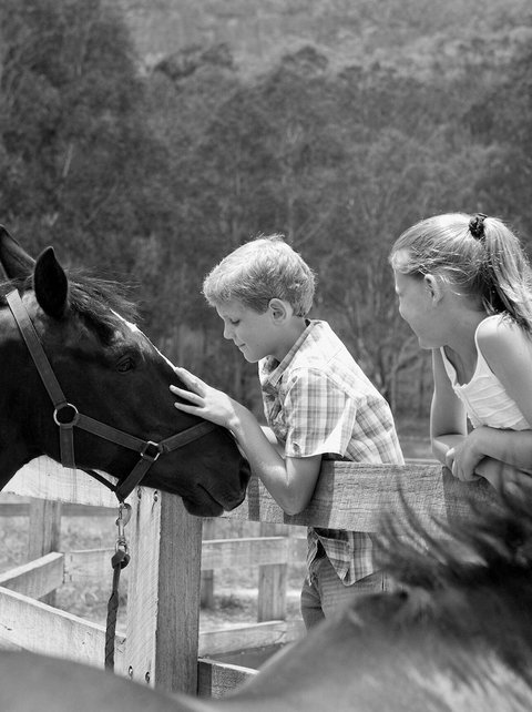 Emirates One&Only Wolgan Valley Australia - Accommodation QLD 6