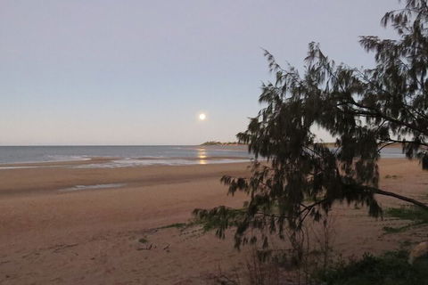 The Shores Holiday Apartments - Accommodation QLD 1