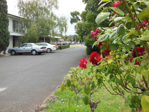 Ringwood Motel - Accommodation QLD 1