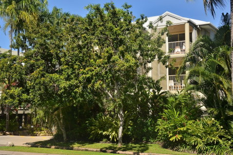 Port Douglas Apartments - Accommodation QLD 6