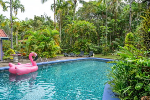 Pink Flamingo Resort - Accommodation QLD 5