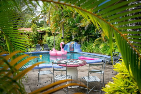 Pink Flamingo Resort - Accommodation QLD 1