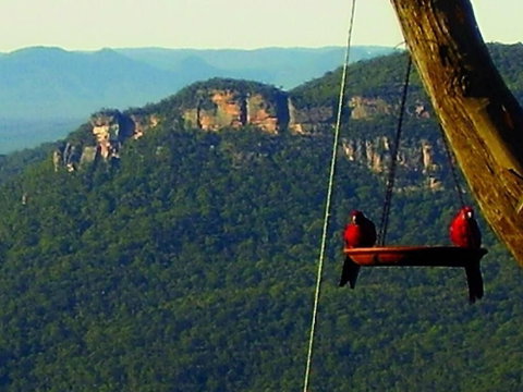 Valley Of The Waters B&B - Accommodation QLD 3