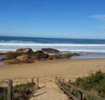 Bellbird Cottage B  B - Accommodation QLD