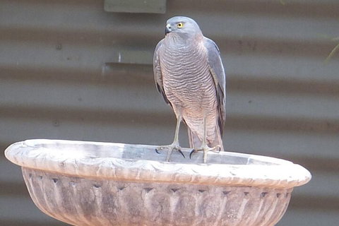 Kathys Place Bed And Breakfast - Accommodation QLD 3