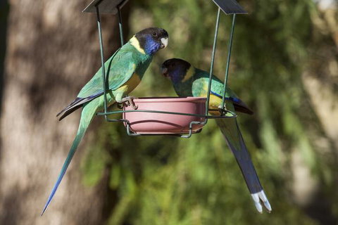 Kathys Place Bed And Breakfast - Accommodation QLD 2