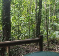 Daintree Crocodylus - Accommodation QLD