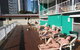 Backpackers In Paradise Resort - thumb 2