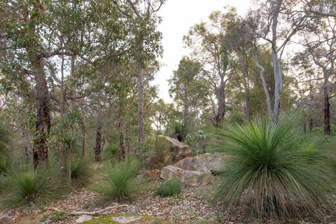 A Hidden Bush Delight - Accommodation QLD 6