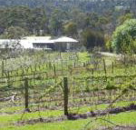 Eureka Farm - Accommodation QLD