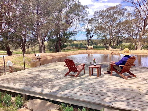 Gilgraves Vineyard Farmstay - Accommodation QLD 6