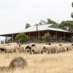 Gilgraves Vineyard Farmstay - Accommodation QLD 0