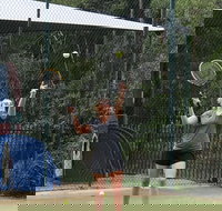 Blackwattle at Barrington Tops - Accommodation QLD