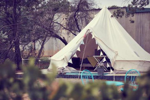 Grapevine Glamping - Accommodation QLD 3