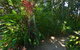 Drifting Port Douglas - thumb 5