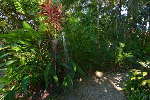 Drifting Port Douglas - Accommodation QLD 5