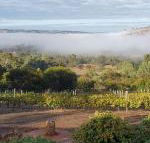 Pecan Hill BNB - Accommodation QLD