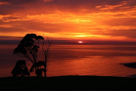 Penguin Seaside Farm - Accommodation QLD 2