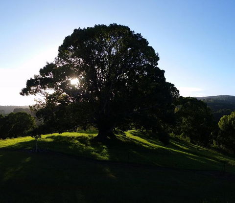 Valleydale Cottage - Accommodation QLD 1