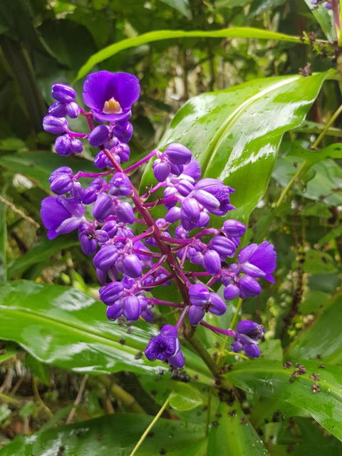 Valleydale Cottage - Accommodation QLD 4