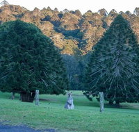 Escape to the Country - Enjoy the Firepit or Explore Magical Bunya Mountains