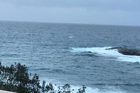 Absolute Oceanfront Cottage - Accommodation QLD 6