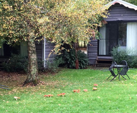 Crossways Country Inn - Accommodation QLD 4