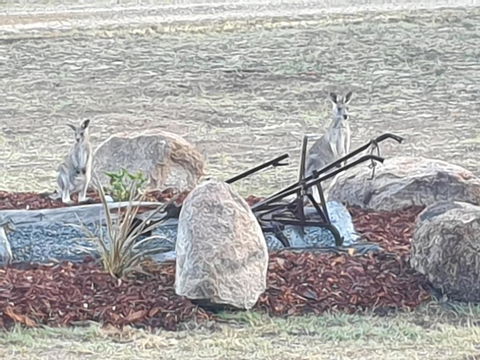 R & R On The Ravine - Accommodation QLD 5