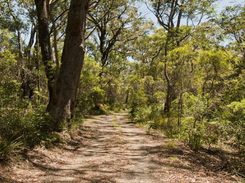 Riverbend 5 Acres Only 9km To Village - Accommodation QLD 3
