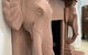 Jodhai Bai Retreat - thumb 5