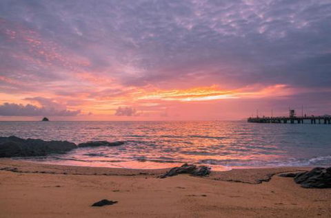 RED COWRIE 321atPALM COVE - Accommodation QLD 5
